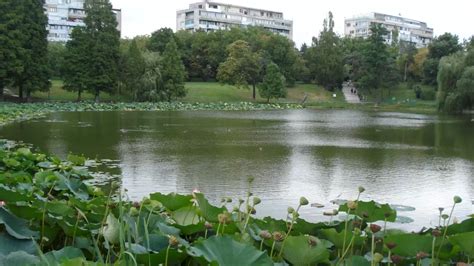 B Expozi Ie De Fotografii Vechi N Parcul Circului De Iunie