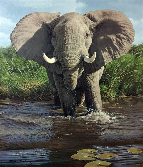 Artstation Wake Turbulence Fuz Caforio African Elephant