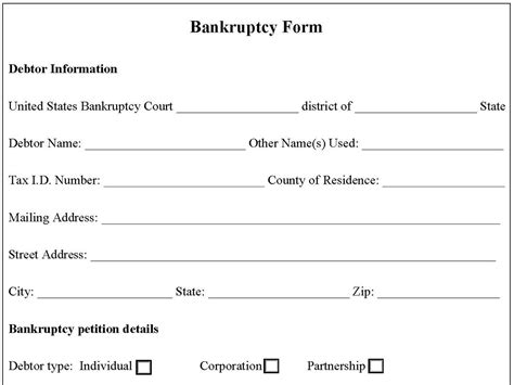 Fillable Bankruptcy Form | Voluntary Petition Form