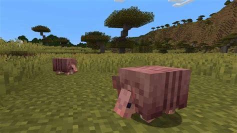 Cosa Mangiano Gli Armadilli In Minecraft Gamelevate