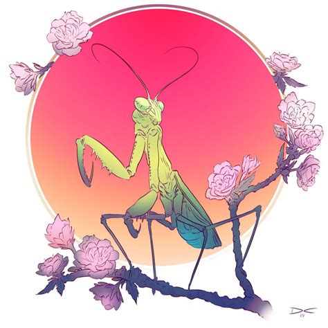 Artstation Mantis Daniel Conway Animal Drawings Art Drawings