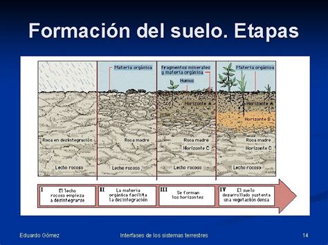 Las Interfases En Los Sistemas Terrestres Eduardo Gmez