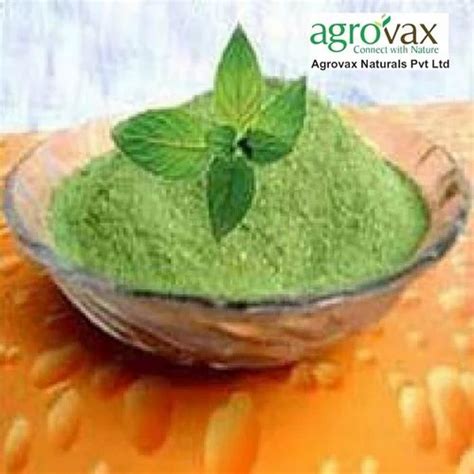 Mentha Arvensis Powder Purity Kg At Rs Kg In