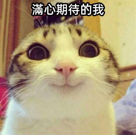 Kuroshio Gay Porn On Twitter Hunter Cumcontrolhappy
