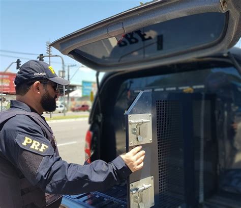 Pague O Que Deve Homem Tenta Fugir A P Mas Preso Por Falta De