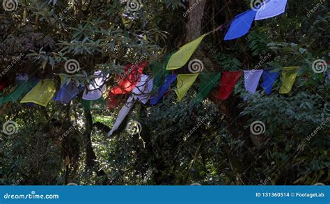 Banderas Budistas Del Rezo Que Cuelgan A Lo Largo De Caminar Las