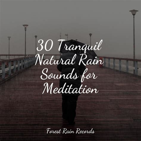 30 Tranquil Natural Rain Sounds For Meditation Album By Nature Sounds