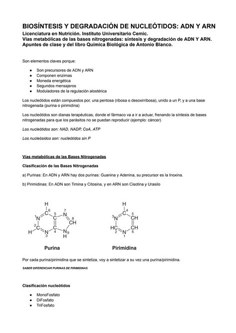 SOLUTION Biosintesis Y Degradacion De Nucleotidos Adn Y Arn Studypool