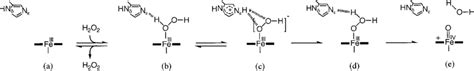 Hypothetical Mechanism For Compound I Formation The Reaction Scheme