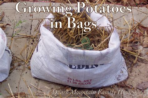 Ozark Mountain Family Homestead: Growing Potatoes in Bags