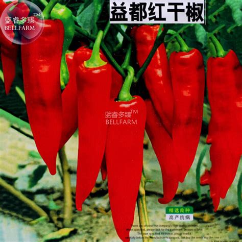 Seeds Red Hot Chili Pepper Dry Hot Garden Chilli Plant Vegetables Fresh Garden
