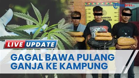 Warga Rantau Prapat Ditangkap Polisi Di Gayo Lues Gagal Selundupkan