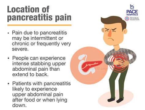 Pancreatitis Guidelines 2024 - Linea Petunia