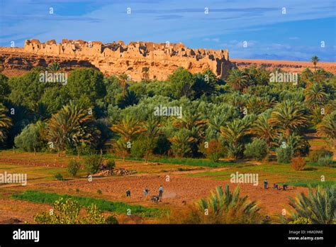 Meski Source Bleue Of Meski Oasis Old Kasbah Errachidia Province