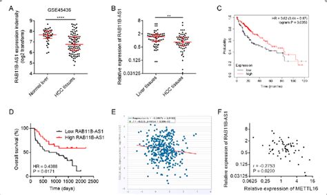 The Expression Pattern Of RAB11B AS1 In HCC And Its Association With