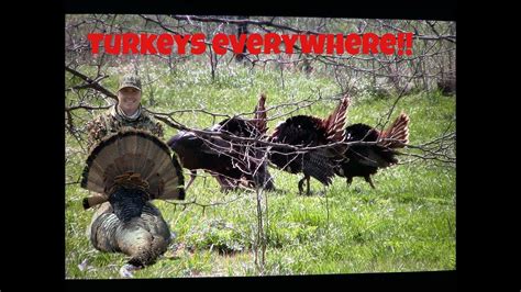 INCREDIBLE ARKANSAS TURKEY HUNT 5 JAKES FIGHT 1 TOM HUNTER GETS HIS