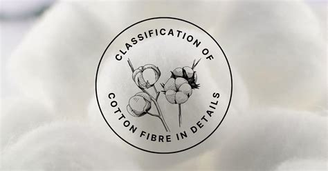 7 Classification Of Cotton Fibre In Details - Textile Details