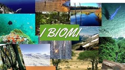 I BIOMI