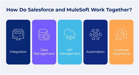 How Do Salesforce And Mulesoft Work Together I Scalefocus