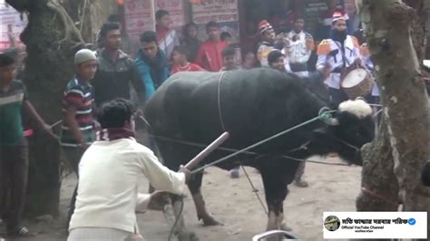 ২১ শে মাঘ হযরত মতিয়র রহমান শাহ সাহেব কঃ বার্ষিক ওরশ শরিফ দরবার