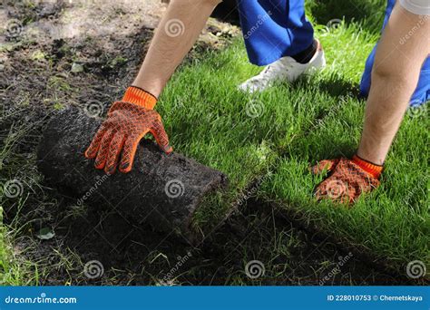 Gardener Laying Grass Sod on Backyard, Closeup Stock Image - Image of ...