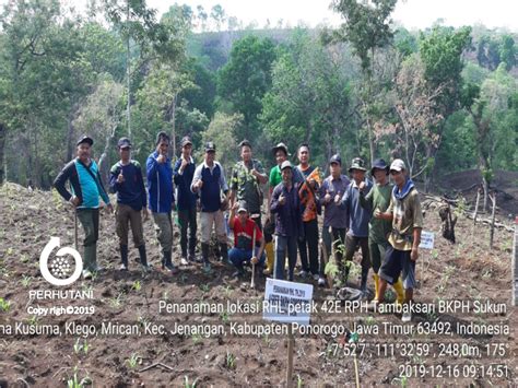 Perhutani Perhutani Dan LMPSDH Wono Asri Rehabilitasi Hutan Di Ponorogo