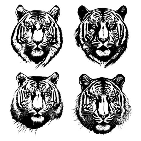 Premium Vector Tiger Head Vector Tiger Face Logo Tiger Sketch