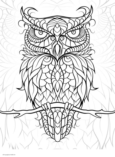 Bird Coloring Pages For Adults Coloring Pages