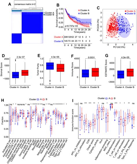 The Development And Experimental Validation Of Hypoxia Related Long