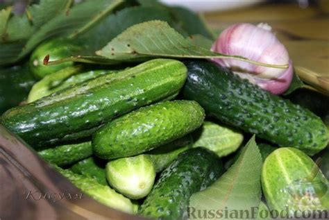 Рецепт: Огурцы с яблоками (маринованные и малосольные) на RussianFood.com