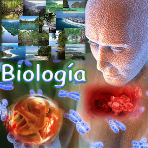 BLOGS DE BIOLOGIA LA BIOLOGIA COMO CIENCIA