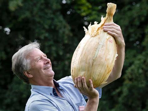 Nearly 9 Kg Giant Onion Set To Break World Record