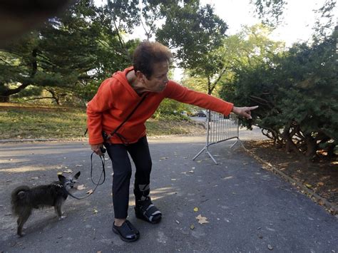 Dead Bear Cub Left In Central Park Was A Prank Rfk Jr Says Toronto Sun