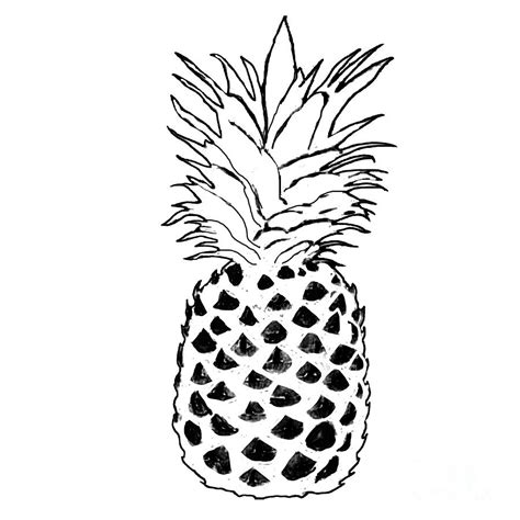 Graphic Black And White Pineapple Art Painting By Irene Irene Pixels