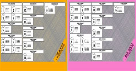 Elezioni Politiche 2022 Il Fac Simile Della Scheda Elettorale E Come
