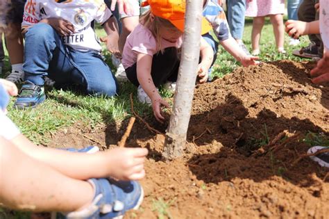 Lepe celebra el Día Mundial del Medio Ambiente con una plantación de