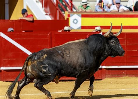 Cenicientos Sigue Fiel A Su Esencia Y Anuncia Un Nuevo Gran Elenco De