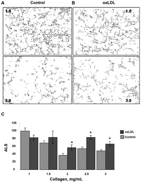 Effect Of Oxidized Low Density Lipoprotein Oxldl On Endothelial