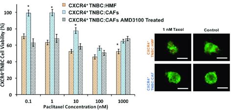 CXCR4 TNBC CAFs Co Culture Spheroids Blue Bars Display Resistance