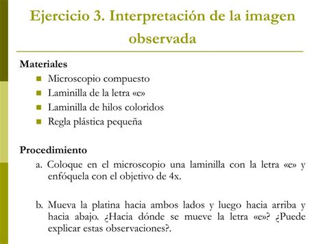 Ppt Marcela Bernal M Nera Biol Powerpoint Presentation Free