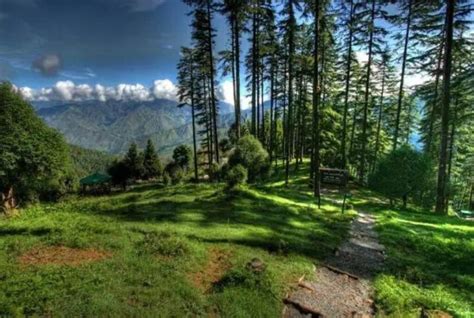 Mussoorie Dhanaulti Tour Package Off