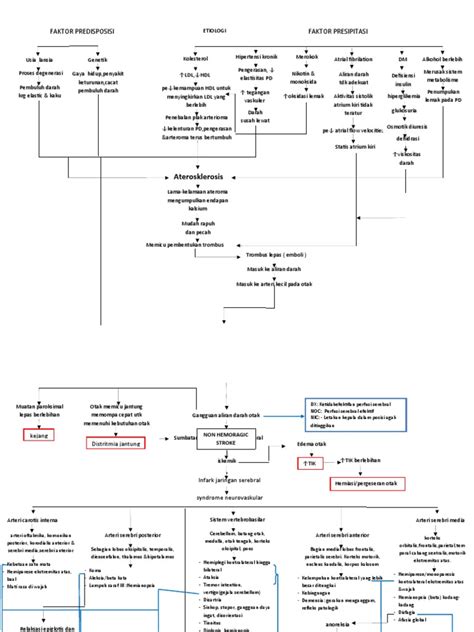 Pathway Non Hemoragic Stroke Pdf