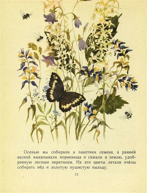 Shulgin.victor: Лесная тропинка. 1958 год