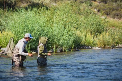 Fly Fishing The Upper Truckee