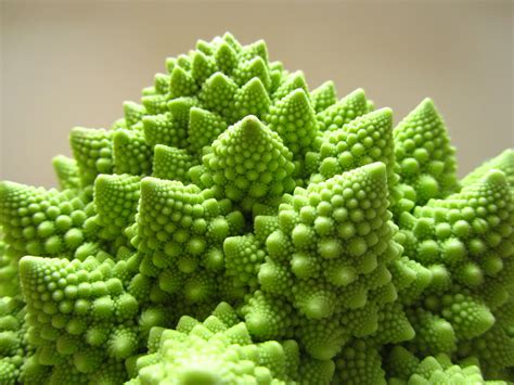 Romanesco Broccoli