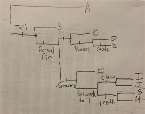 Solved 7. What is the basal taxon in the phylogenetic tree | Chegg.com