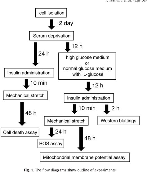 Figure 1 From High Glucose Condition Reduces Cardioprotective Effects