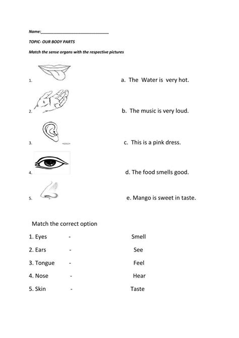 293624 Sense Organs Richa Bhatia Liveworksheets