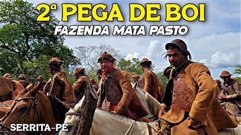 Pega De Boi Da Fazenda Mata Pasto Em Serrita Pe Youtube