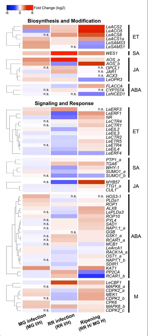 Figure From Tomato Transcriptome And Mutant Analyses Suggest A Role